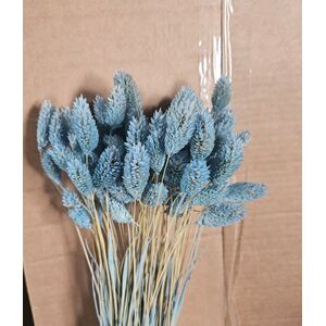 Albastru deschis