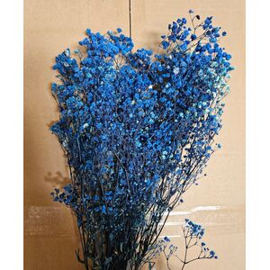 Floarea miresei albastru regal, gypsophila stabilizata