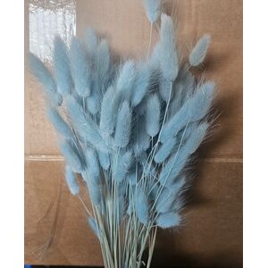 Lagurus Baby Blue – Iarbă de Iepure uscată, Buchet Mediu 40-50g