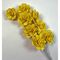 acacia lemn