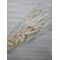 Buchet Mediu Lagurus ivory 40-50 grame