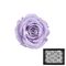 Trandafir criogenat violet XS vio03