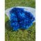 Hortensie criogenata cu floare mica albastru regal (intreaga)