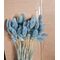 Albastru deschis
