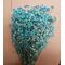 Gypsophila bleo-floarea miresei