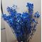 Gypsophila albastru închis 90-110 grame-floarea miresei pentru aranjamente florale, buchete