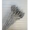 Phalaris argintiu 90-100 grame