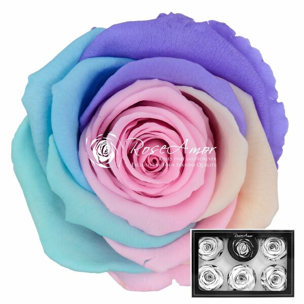 Trandafir criogenat multicolor XL pin04