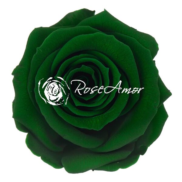 Trandafir Criogenat – Verde Smarald, mărimea XS, gre02