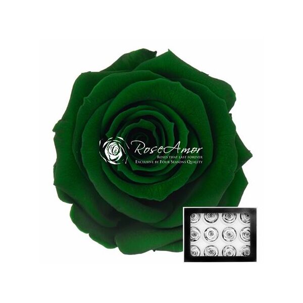 Trandafir Criogenat –Verde smarald, mărimea S, gre02