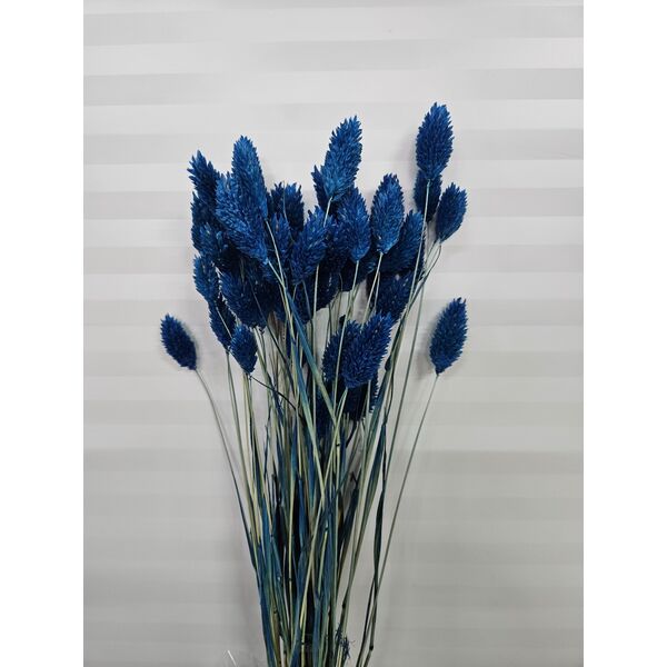 talaris albastru inchis  40-50 grame (phalaris)