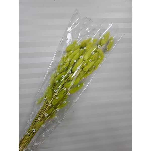Lagurus Verde Lime – Iarbă de Iepure uscată, Buchet Mediu 40-50g