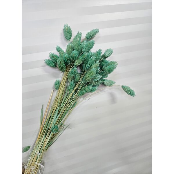 Talaris turcoaz verzui 40-50 grame