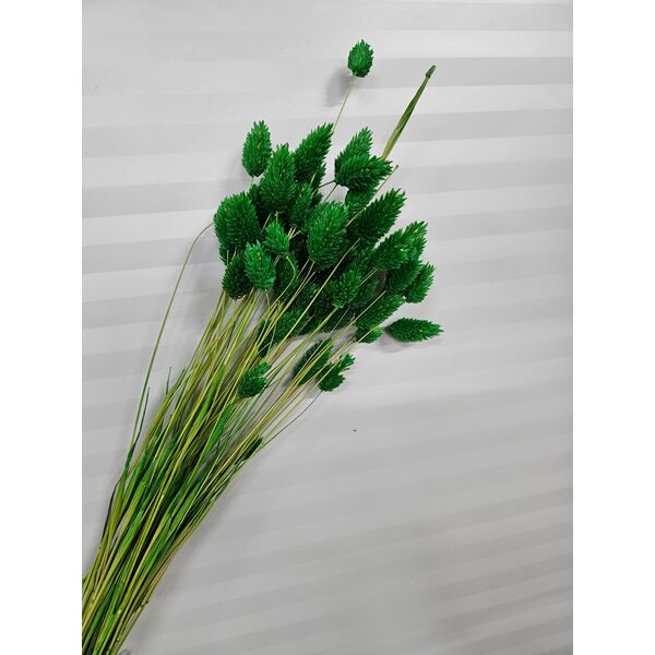 Talaris verde 40-50 gr