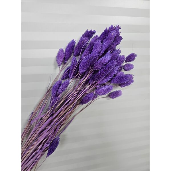 Talaris mov 40-50 gr