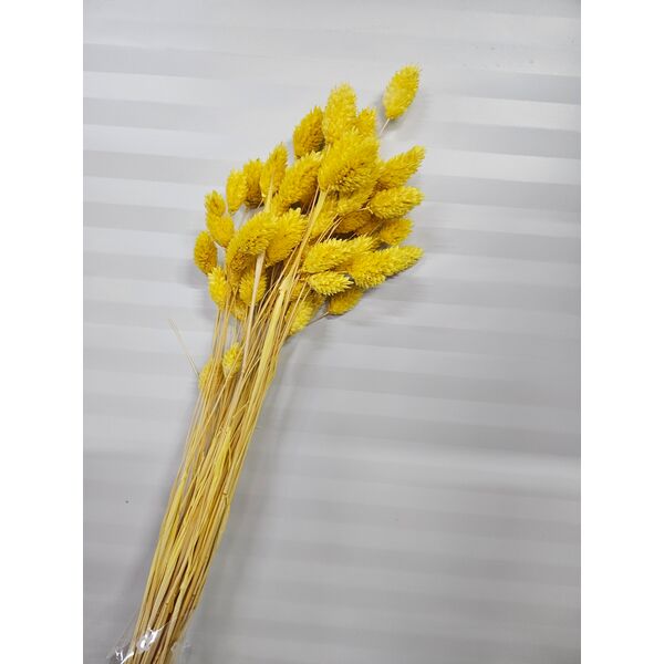 Talaris galben 40-50 grame