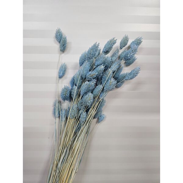 Talaris baby blue 40-50 gr