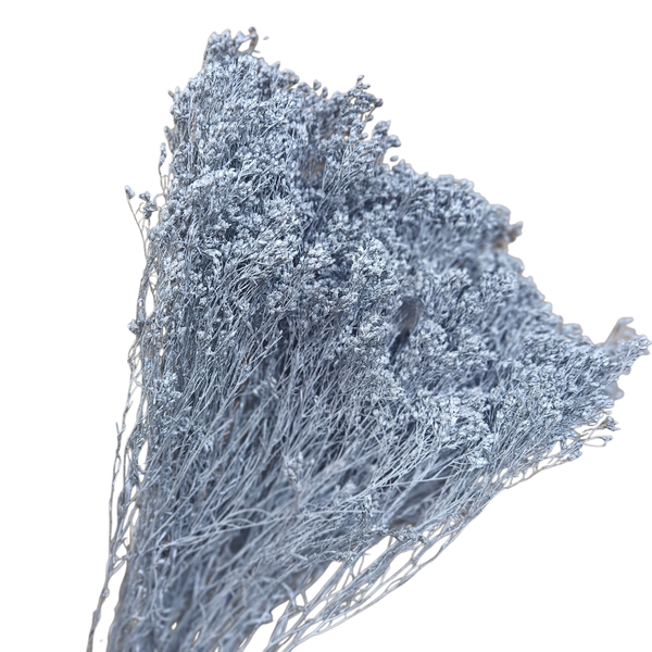 Broom Bloom Argintiu – plantă uscată decorativă 100g, efect metalic