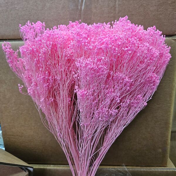 Broom Bloom Roz Intens – plantă uscată decorativă 100g