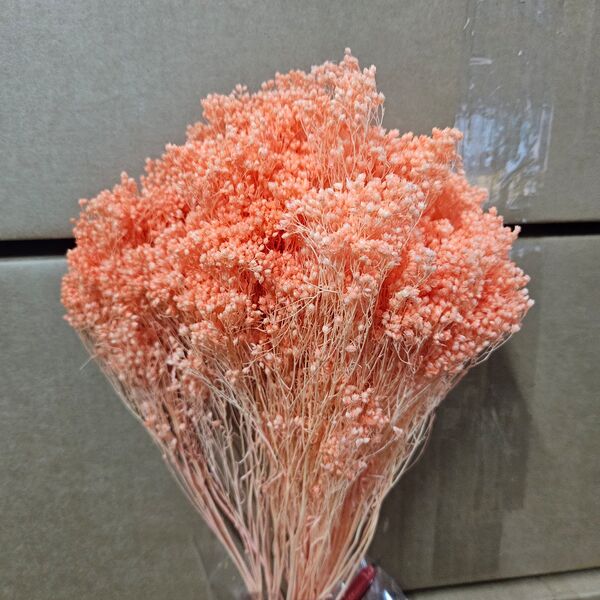 Broom Bloom Portocaliu – plantă uscată decorativă 100g