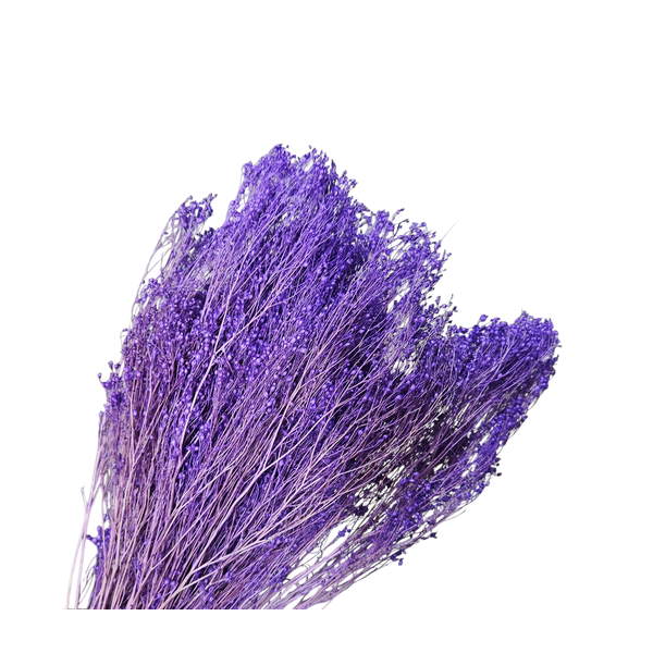 Broom bloom Mov închis 100 gr.