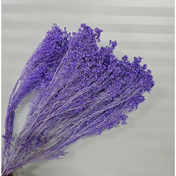 Broom Bloom Lila – plantă uscată decorativă 100g