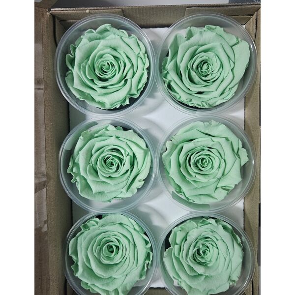 Trandafiri criogenati gre04