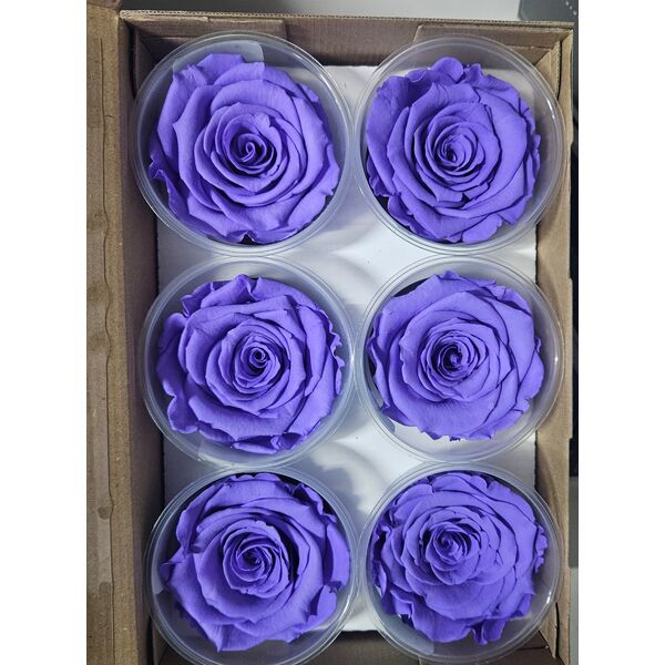 Trandafiri criogenati vio01