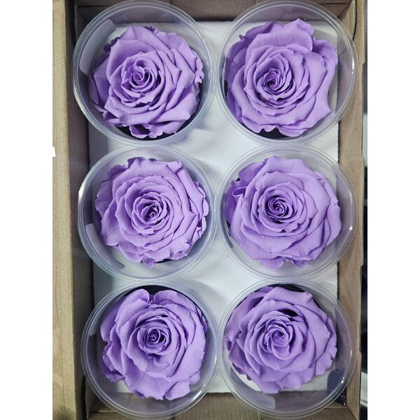 Trandafiri criogenati vio03