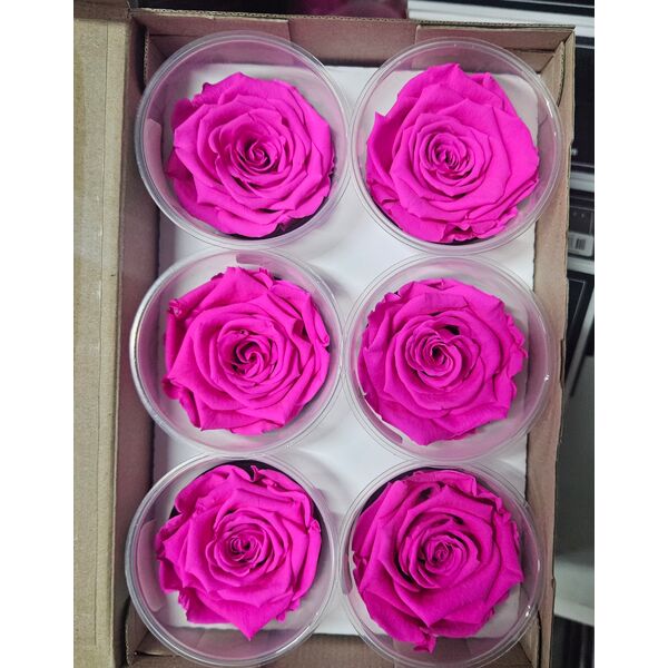 Trandafiri criogenati pin07