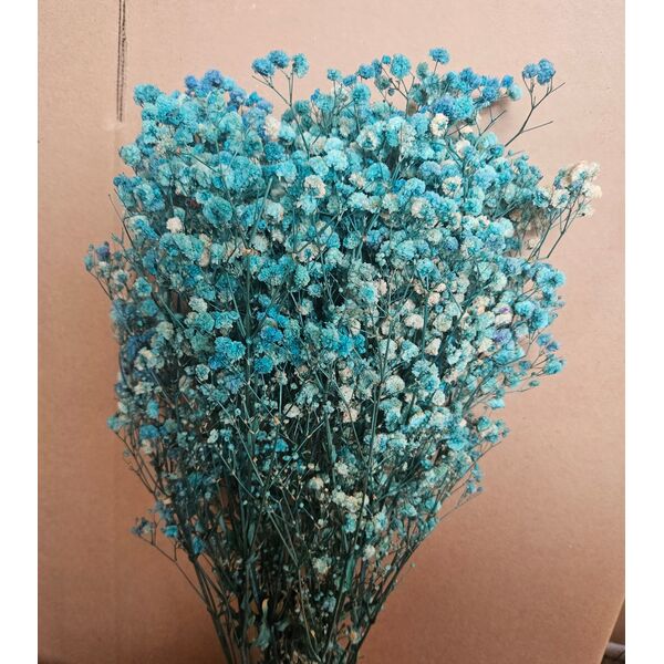 Gypsophila bleo-floarea miresei