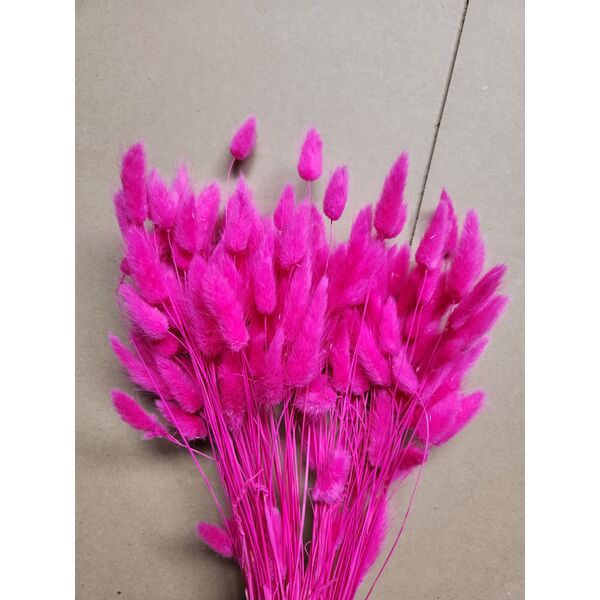 Lagurus Ciclam – Iarbă de Iepure uscată, Buchet Mediu 40-50g