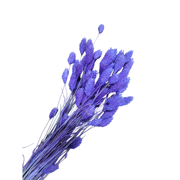 Talaris mov deschis 40-50 grame