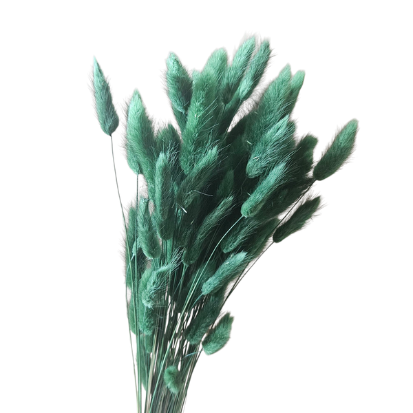 Buchet mediu Lagurus verde închis 40-50 grame