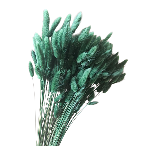 Lagurus verde inchis 90-100 grame